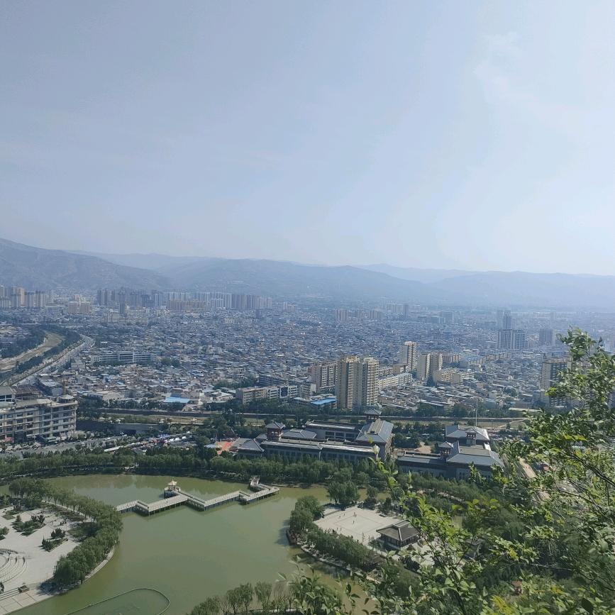 仲氏传媒