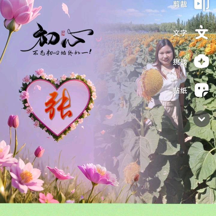 农村小燕