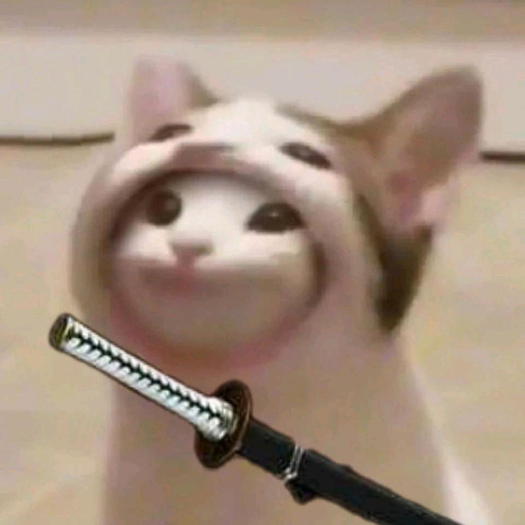白白咯