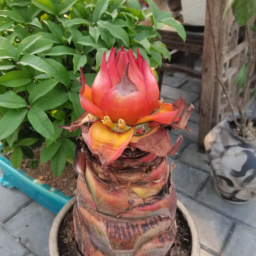 请叫我小可爱