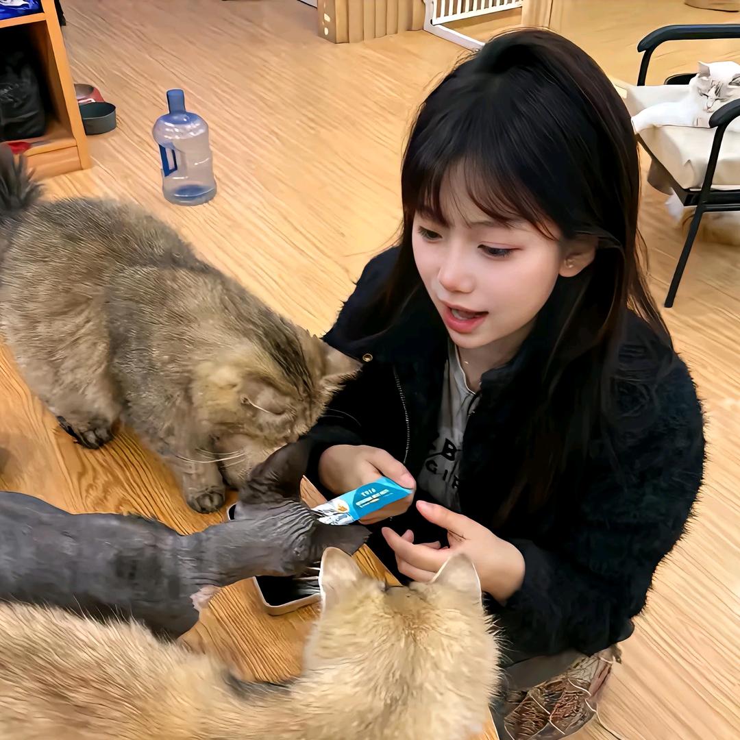 .妹妹🧚