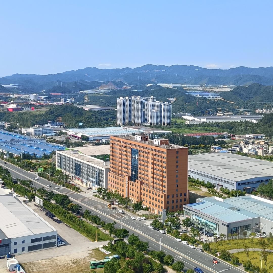 丰富  多彩