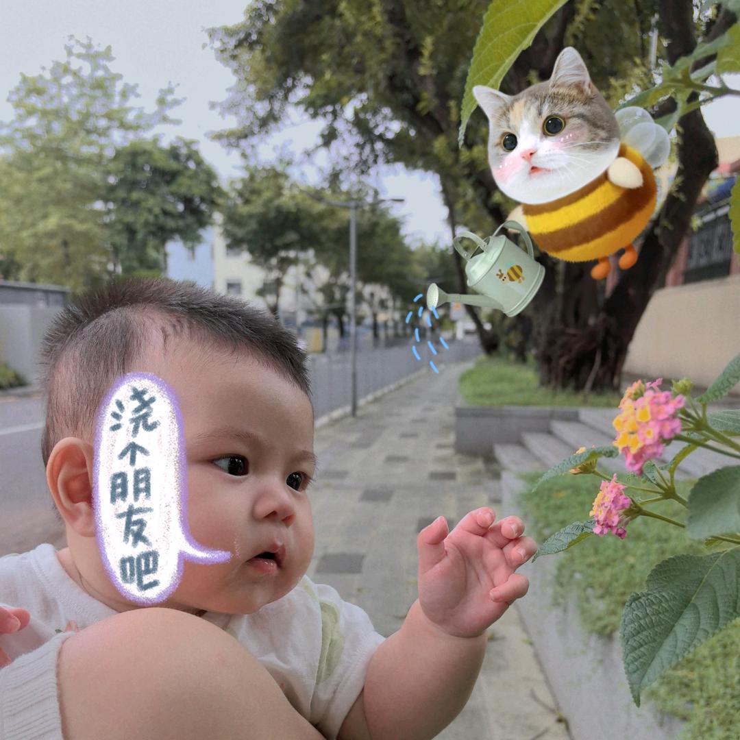 车厘公子