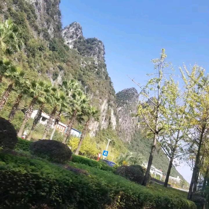 人间一趟积极向上