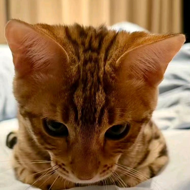 卷的摄影日记📷