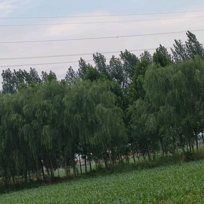 用户5360124002070