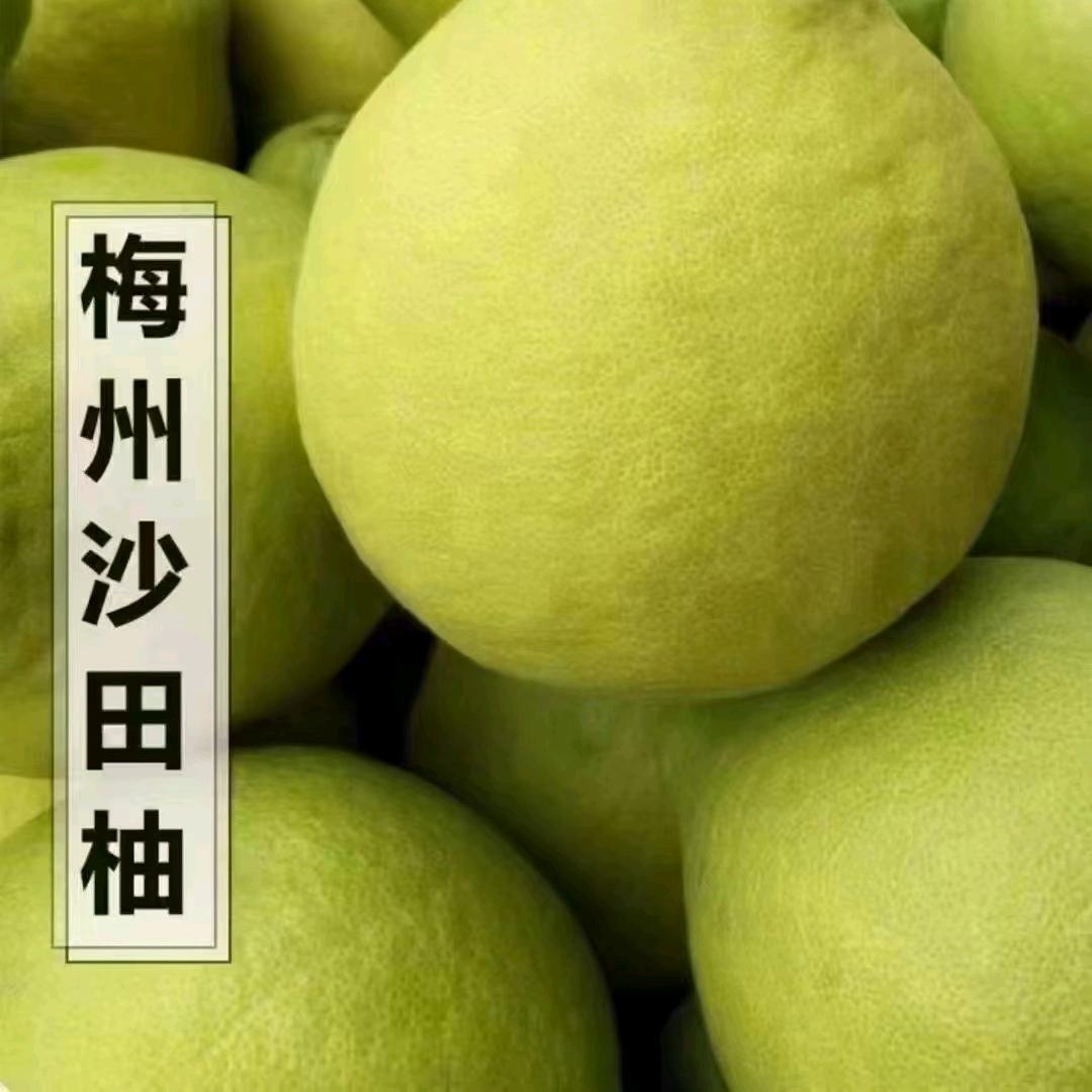梅州沙田柚(客家特产)