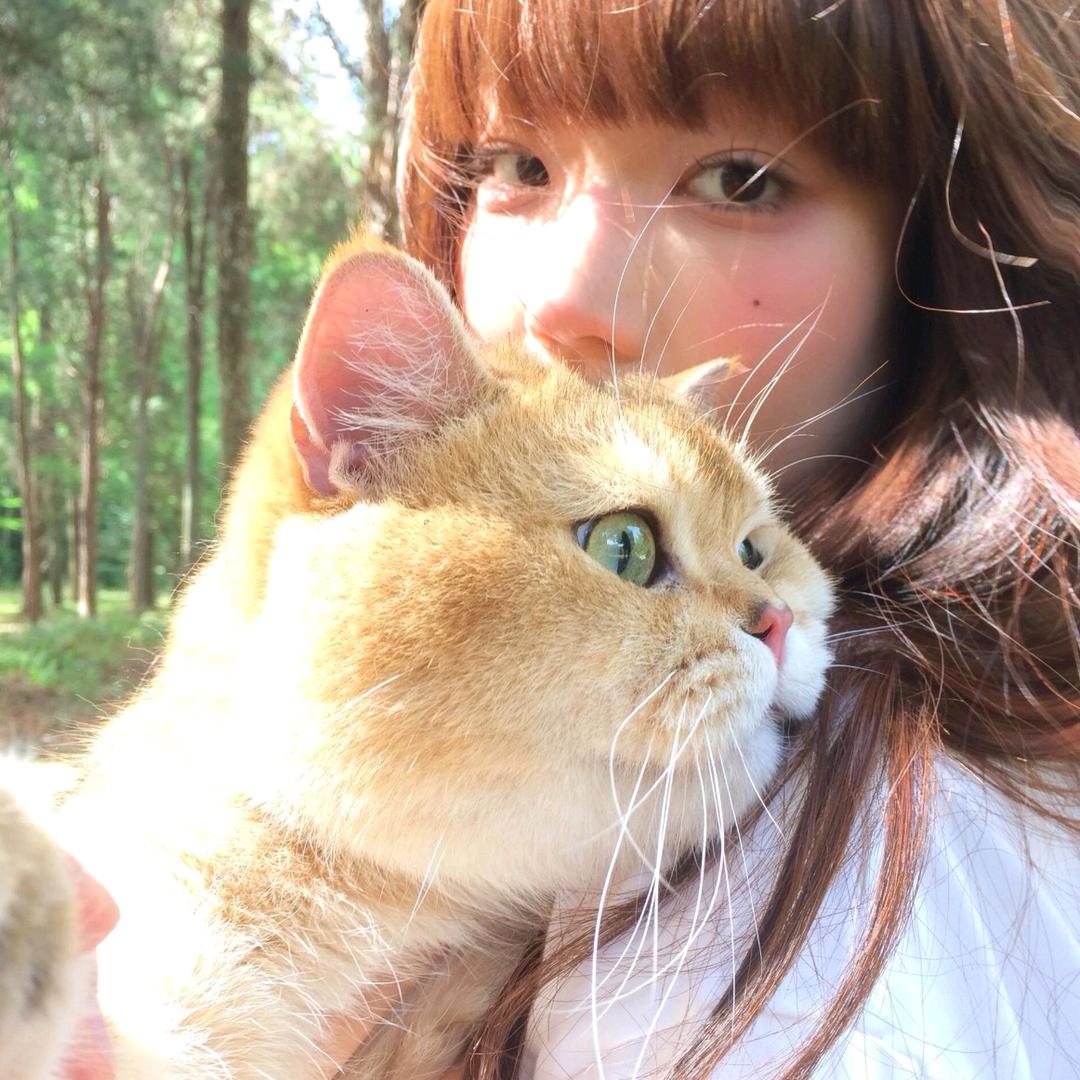 小猫碎碎念՞˶･֊･˶՞ಣ