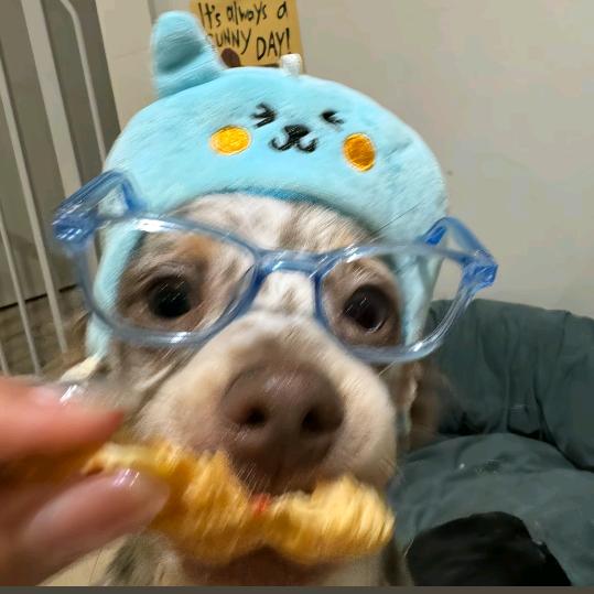 十三椿