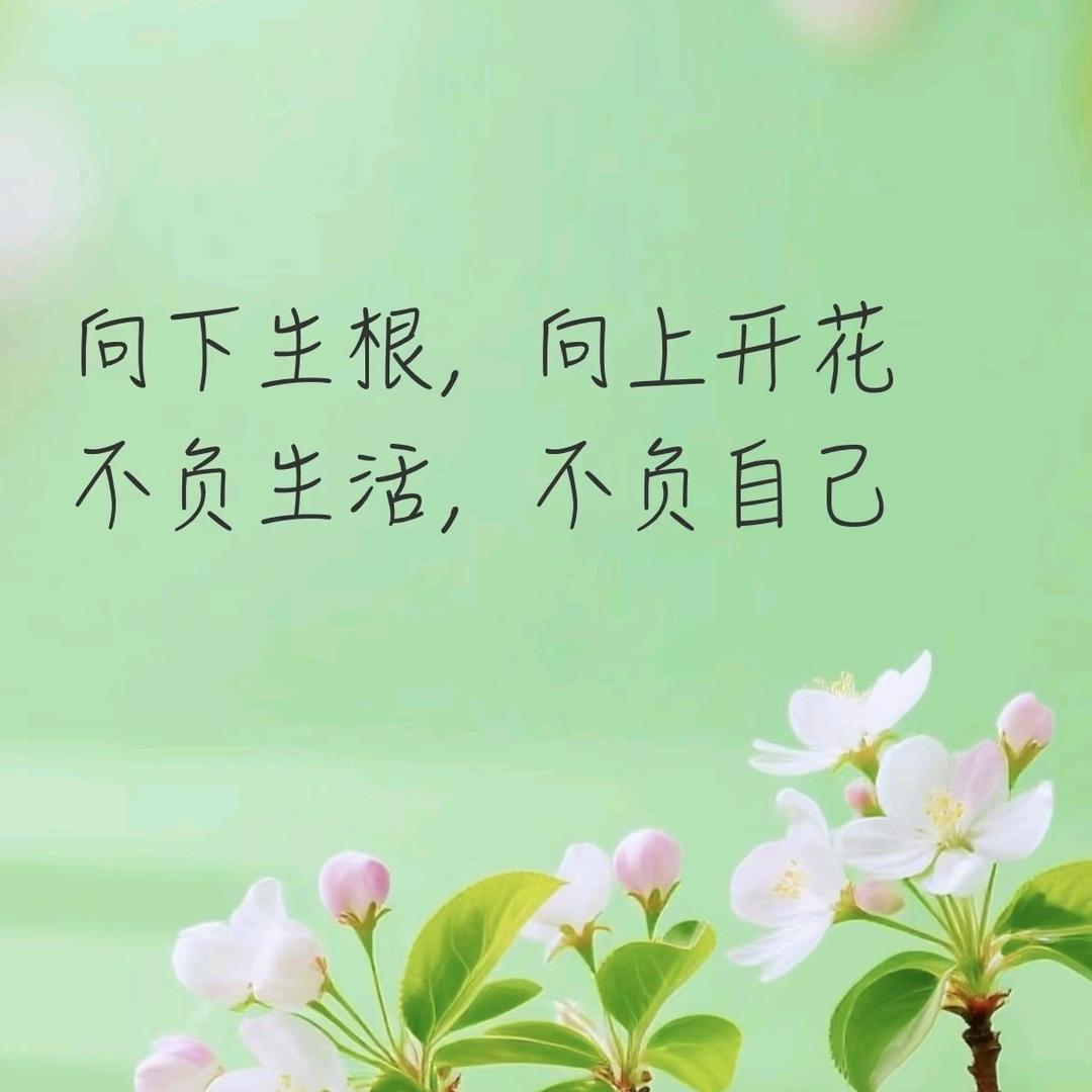 柚一一