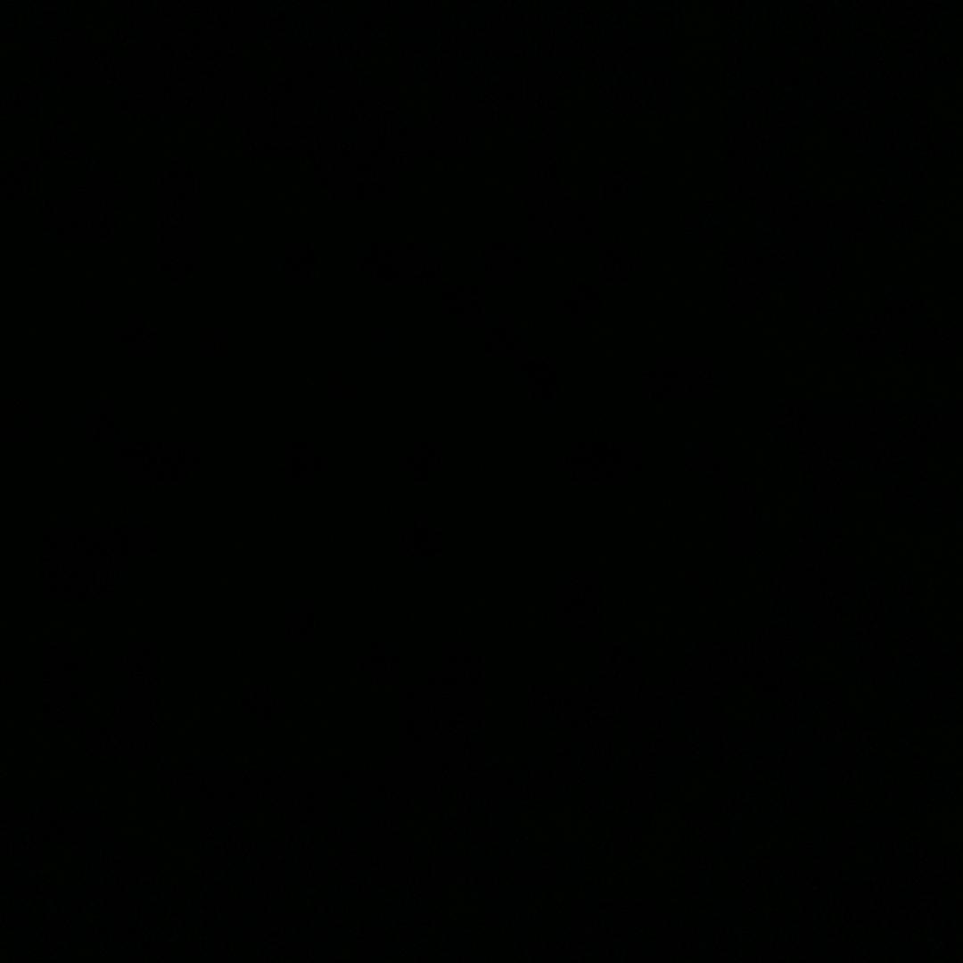 命运