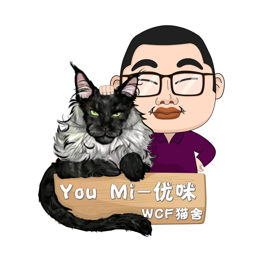You Mi【🐱找家长】