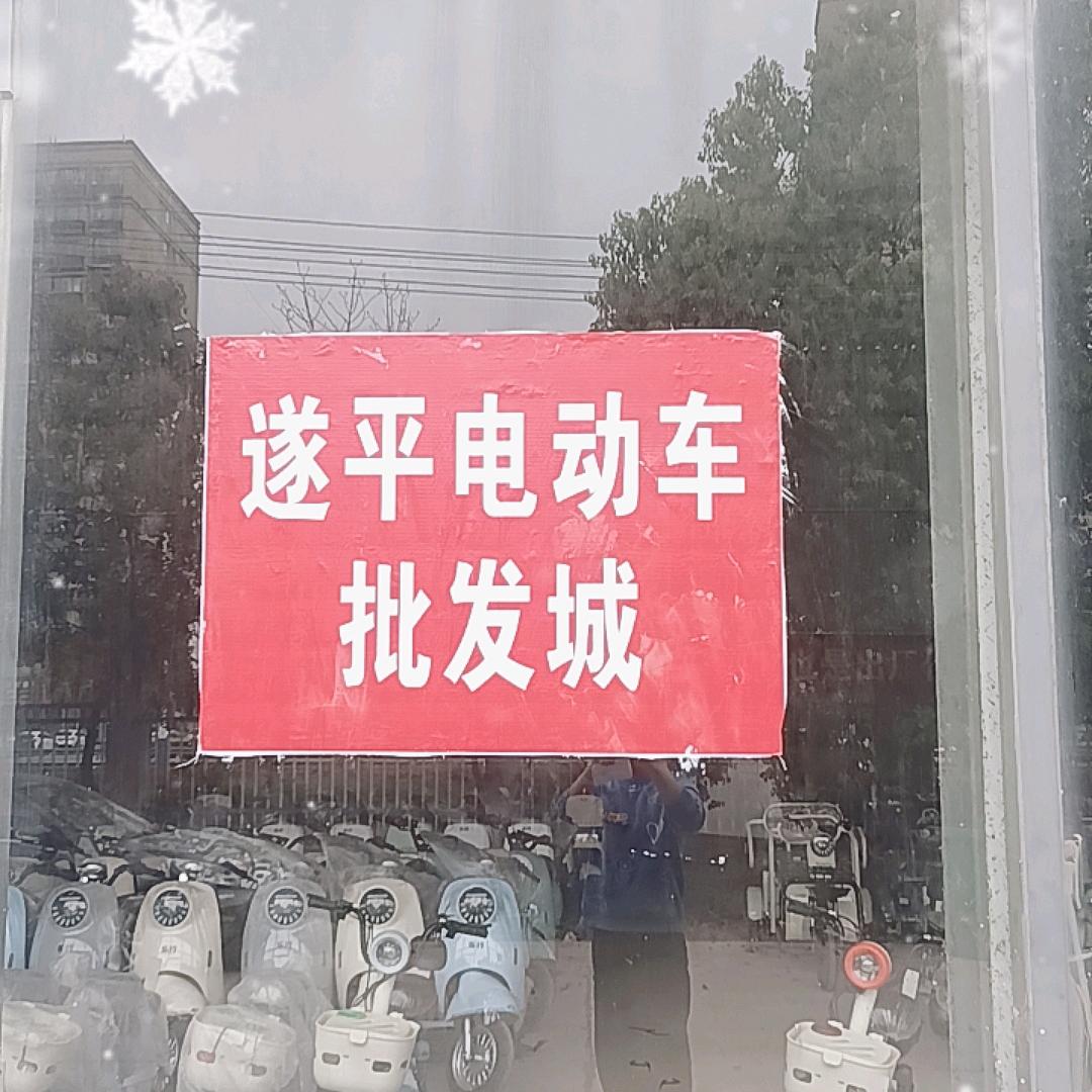 遂平电动车批发城-老四