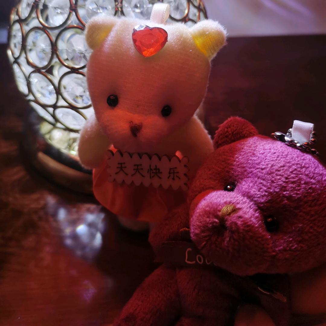 梦冉琴儿🌷
