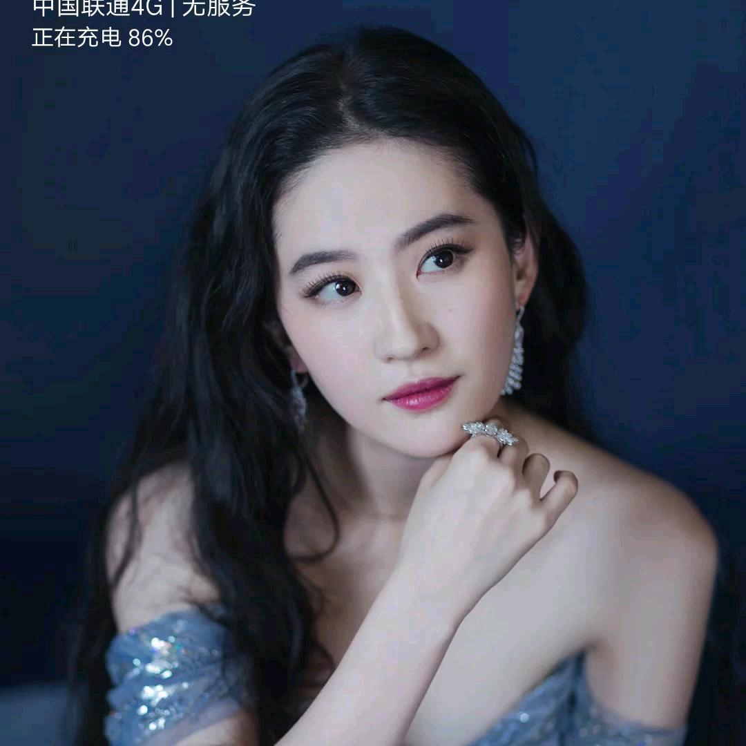 战地黄花