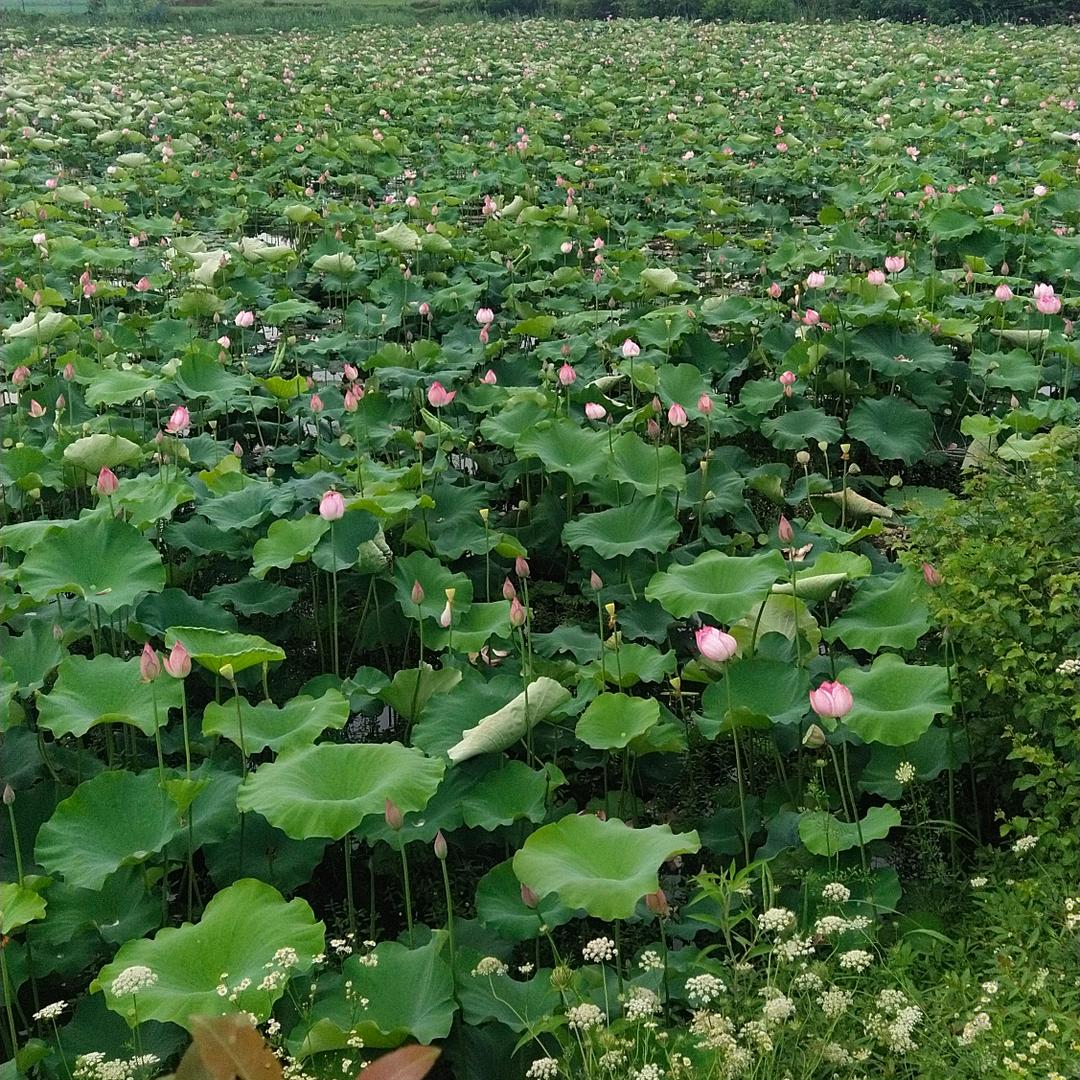 游山玩水