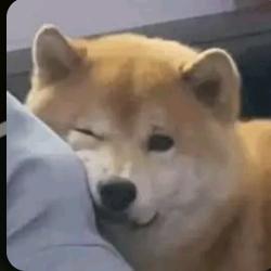 诗哲2047