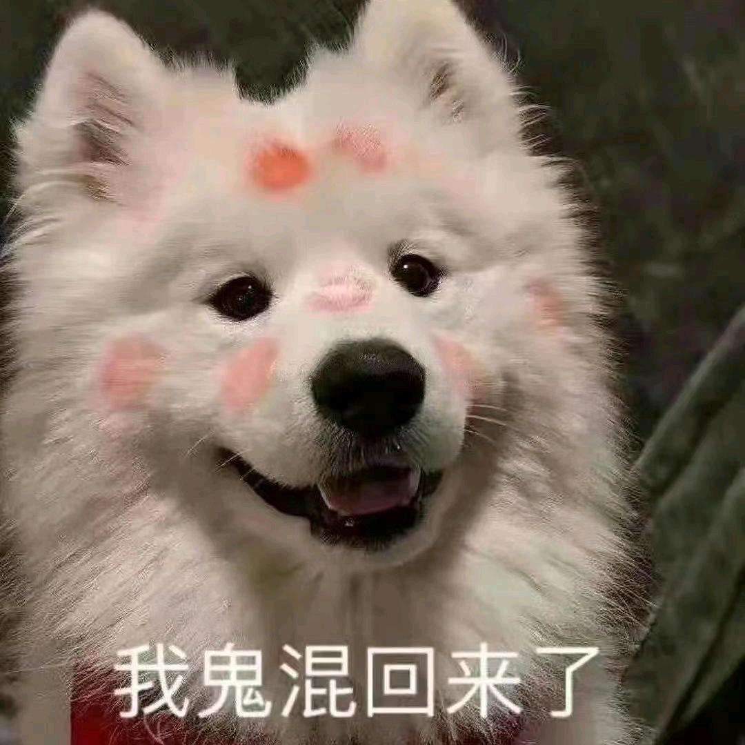 年年岁岁