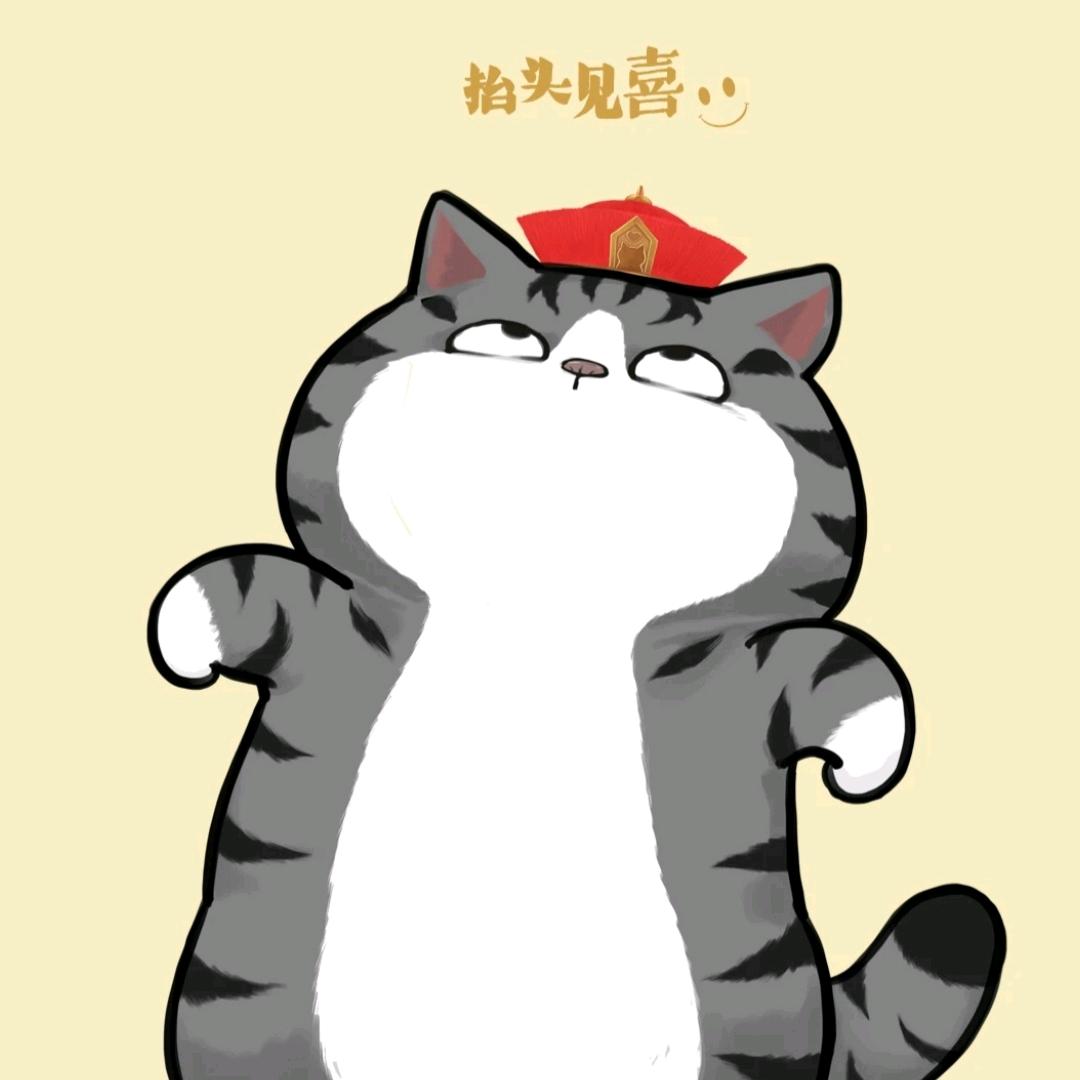 我不懂🍭