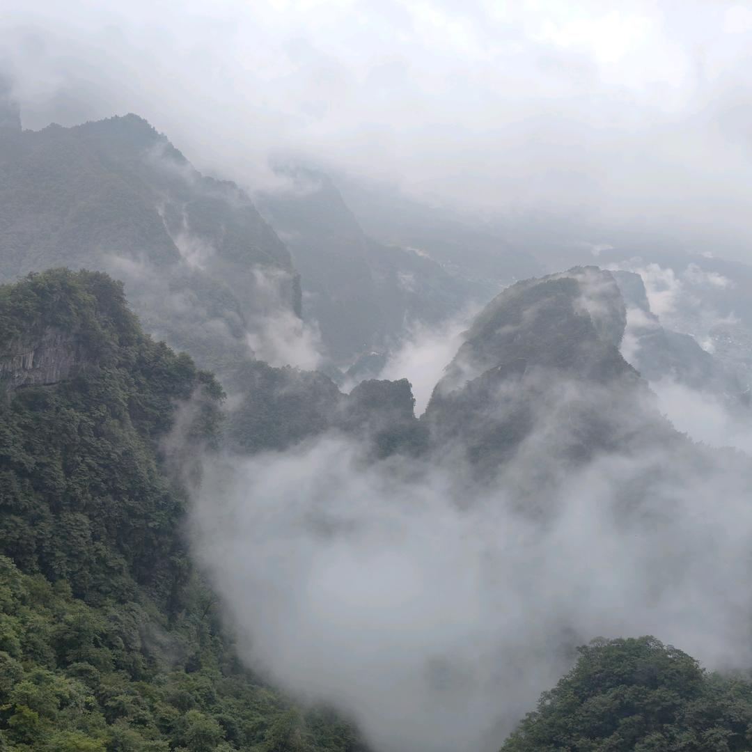 玲玲