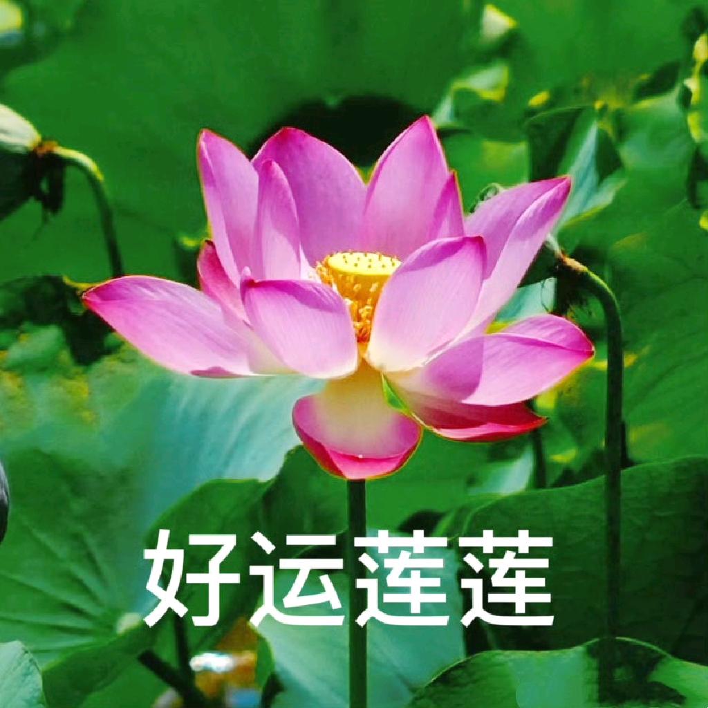 宏都花园周经理