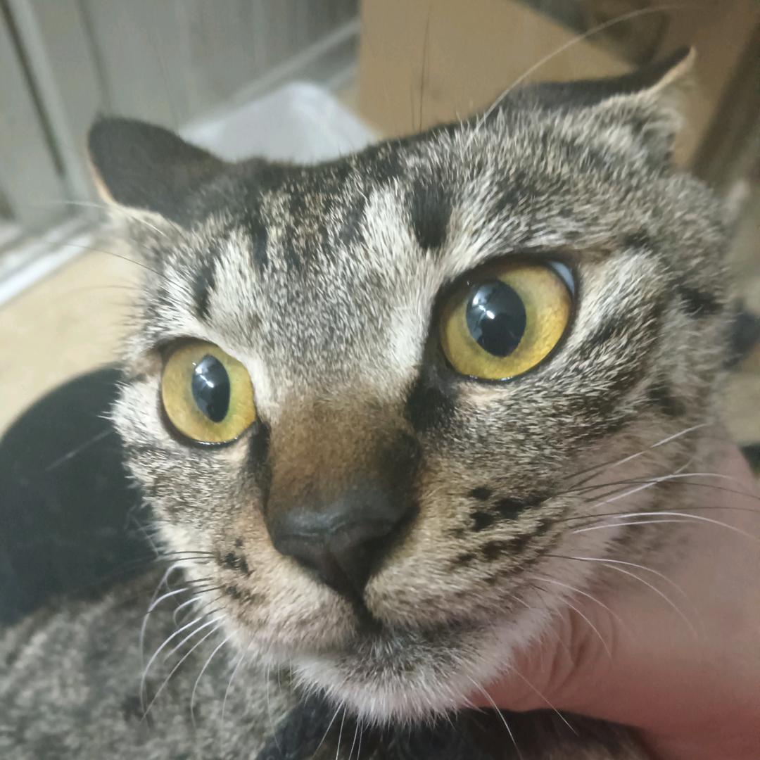 我的兄弟是个屌丝