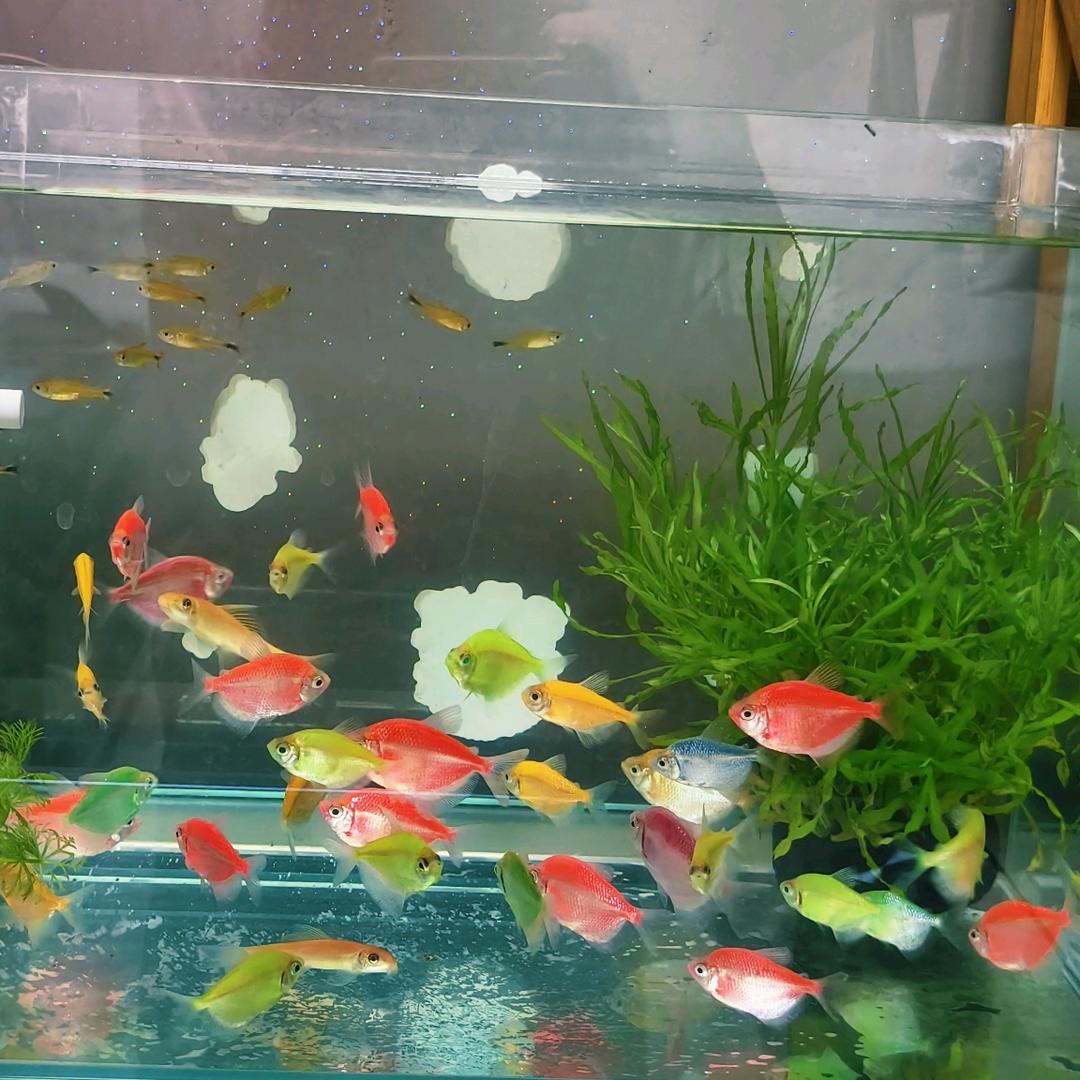 6～䒕潴