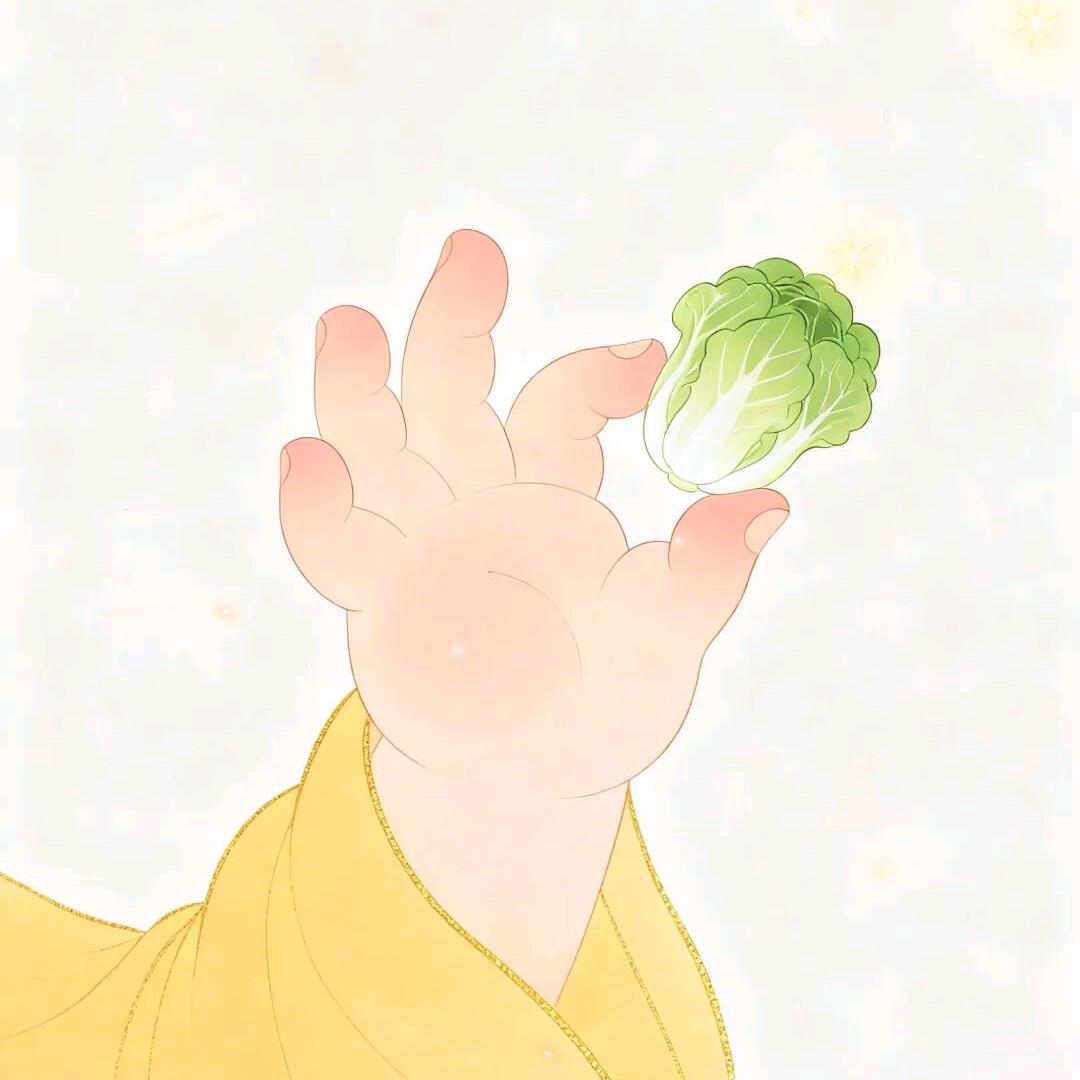 香菜味的生菜