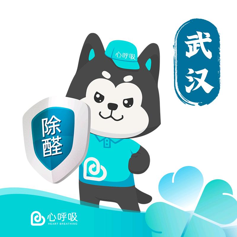 武汉|心呼吸专业除甲醛