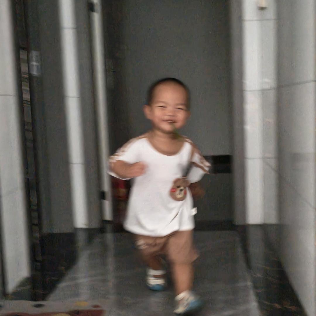 一只小兔子✨️