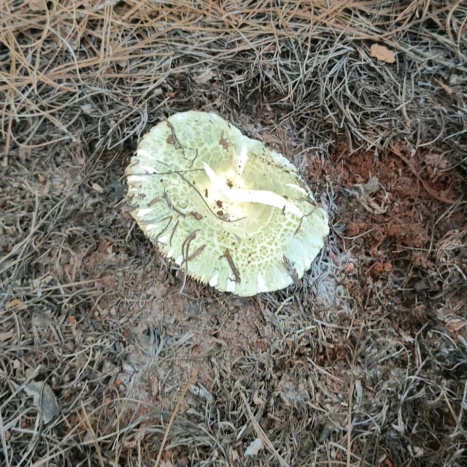 做人难，做个男人更难。