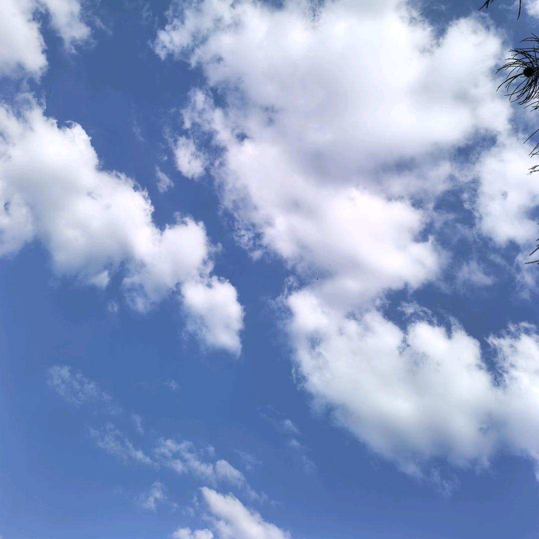 隐