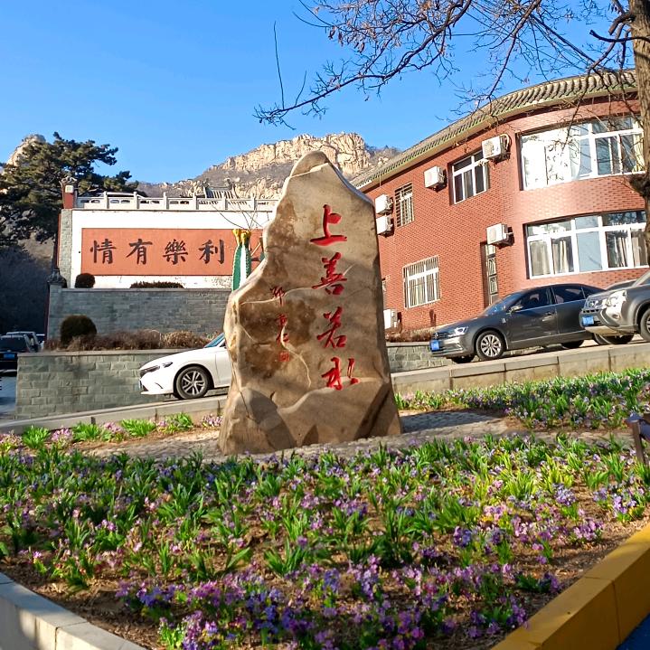 营利乡村自建房