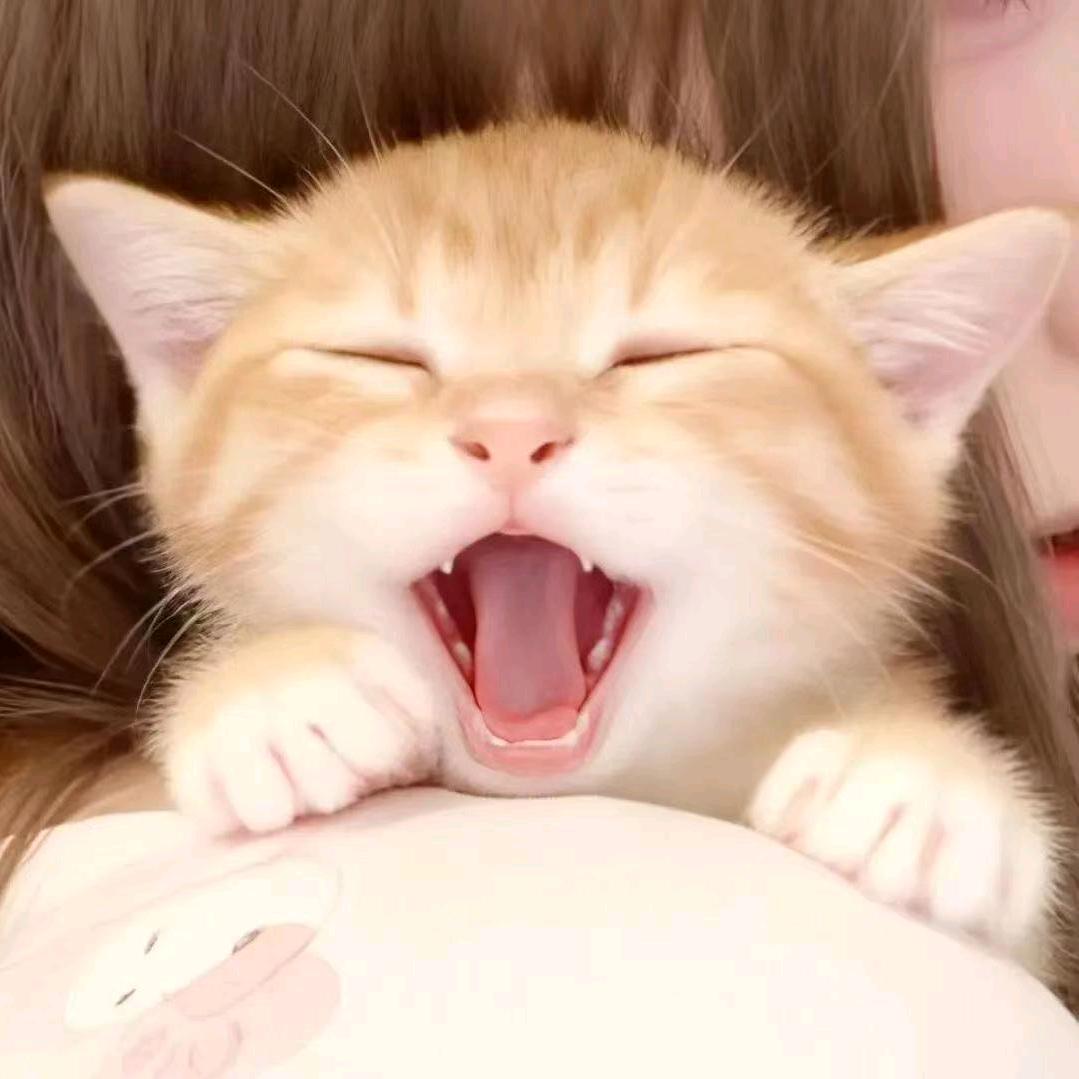 我想要两颗西柚🍁