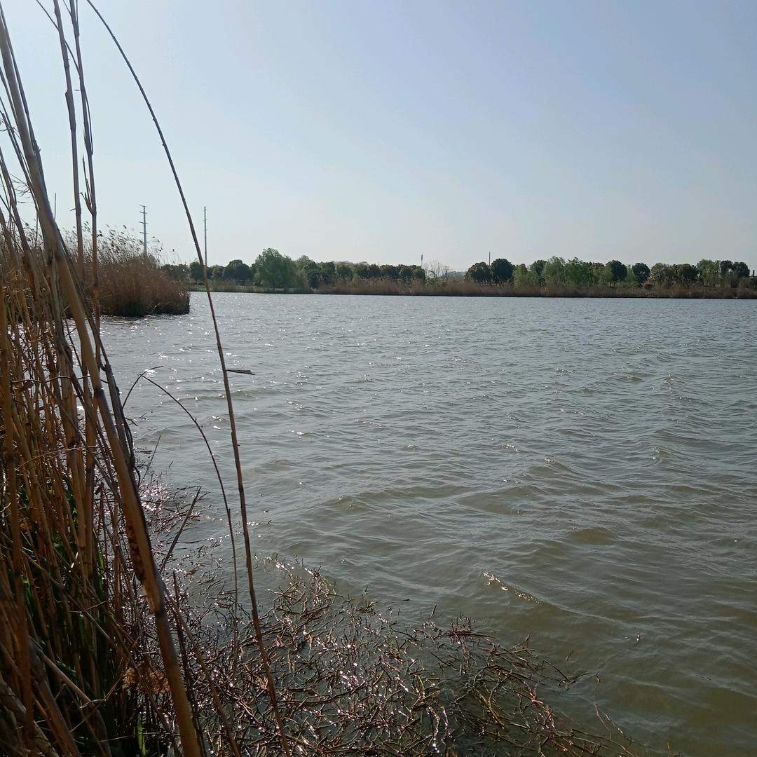 天下平安，心地善良