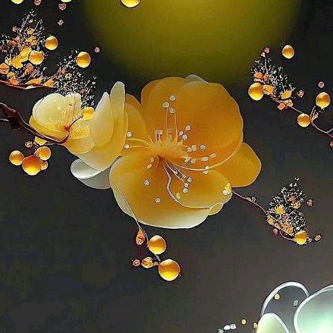 大河南疯妈