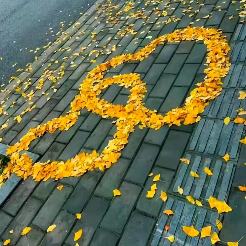 ༺:༂🌺🌺孫风🌸🌸顺水༂༻