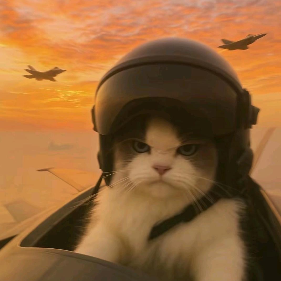 悲伤玉米排骨汤