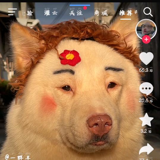 一叶一世界