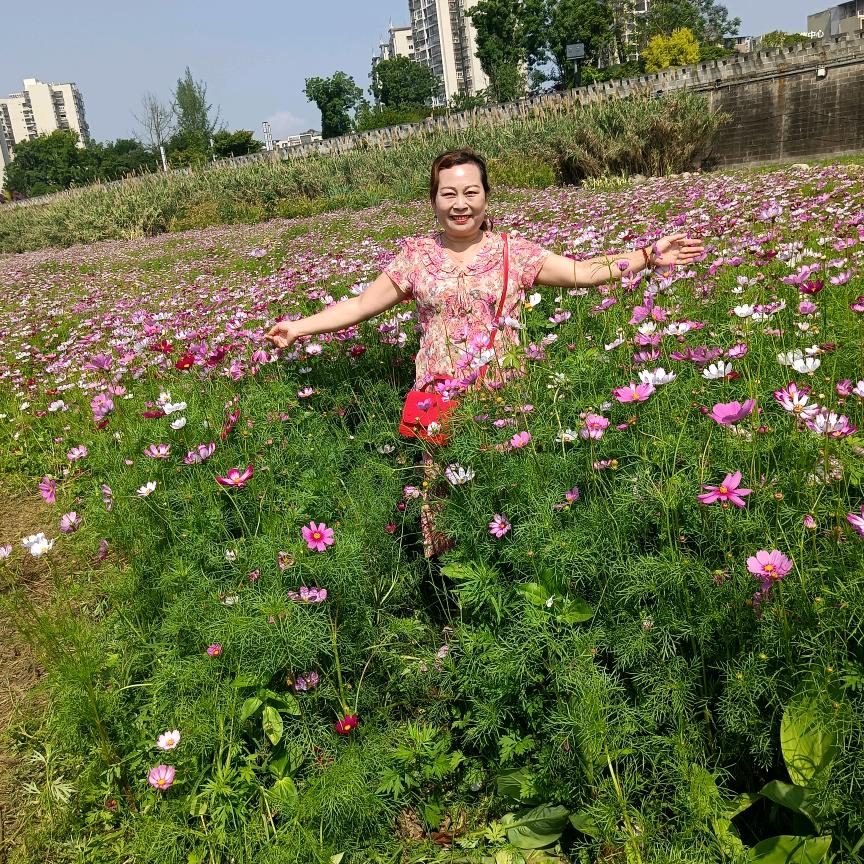 莉儿