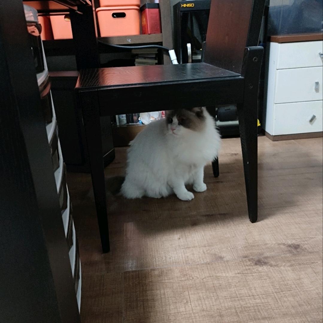 老张美食记