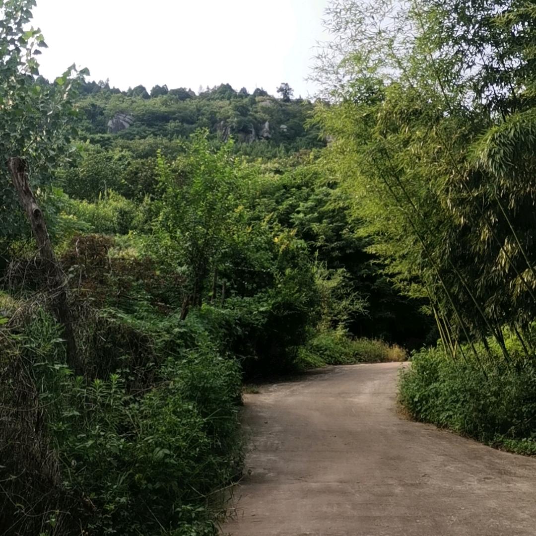 左眼皮跳跳