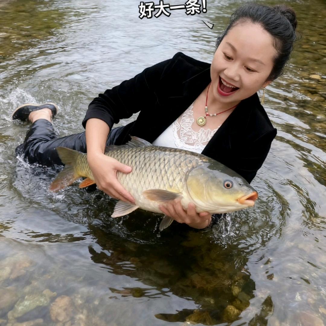快乐蝴蝶