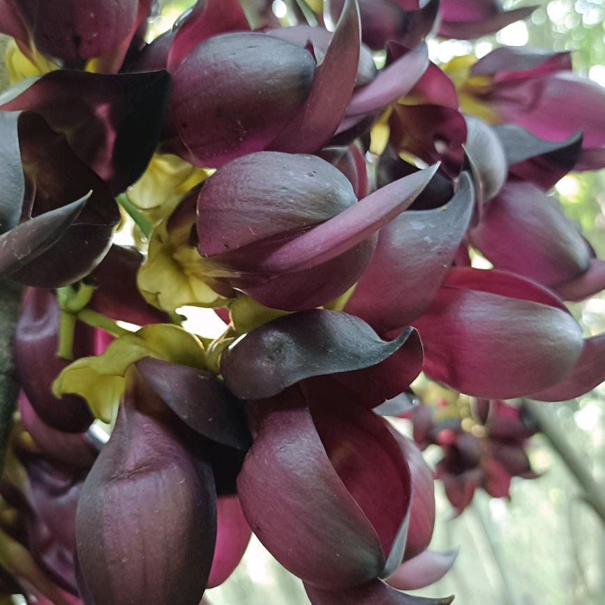 人所以会烦，皆是凡人