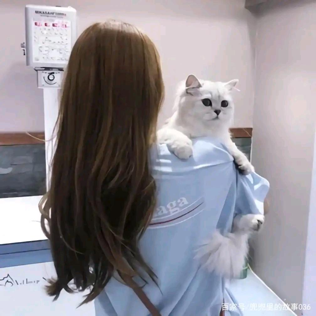 小五月