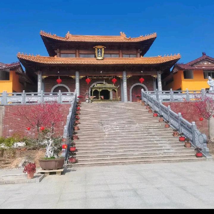 李冰月
