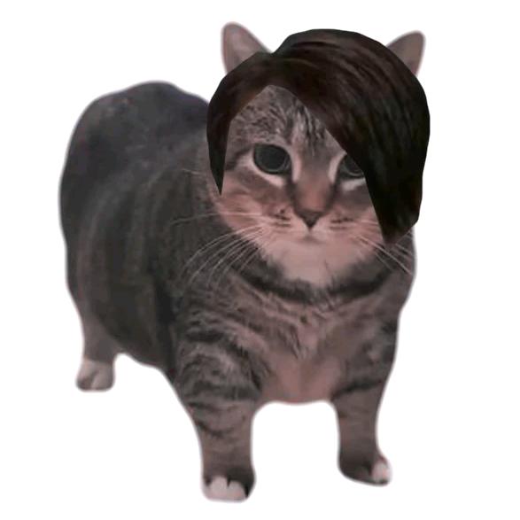 猫喆的音乐难产房