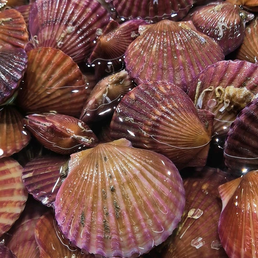 海伦邹记海鲜生