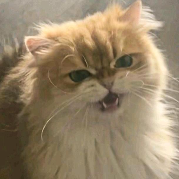 My。