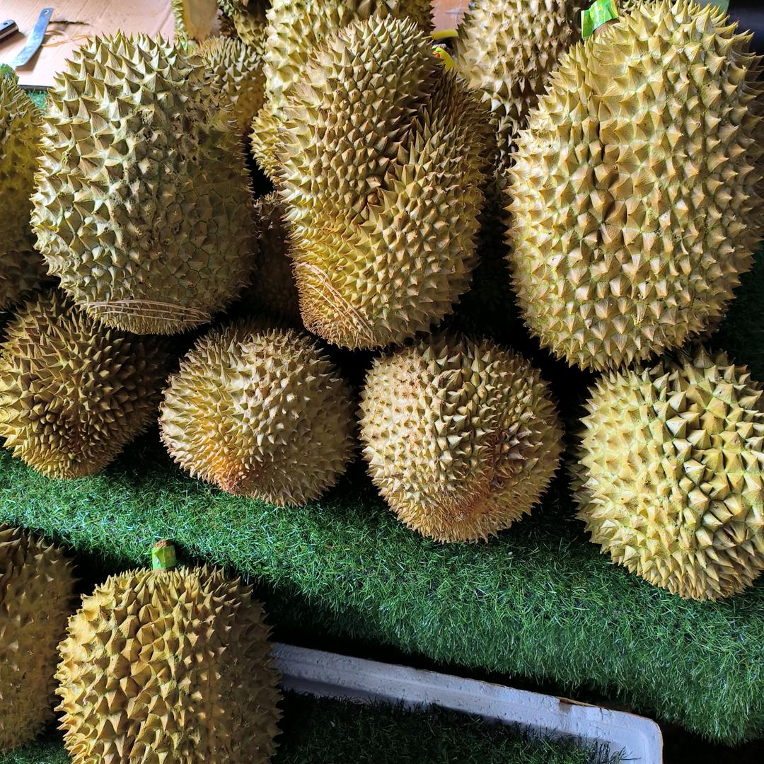 进口水果供应链（榴厘纪）